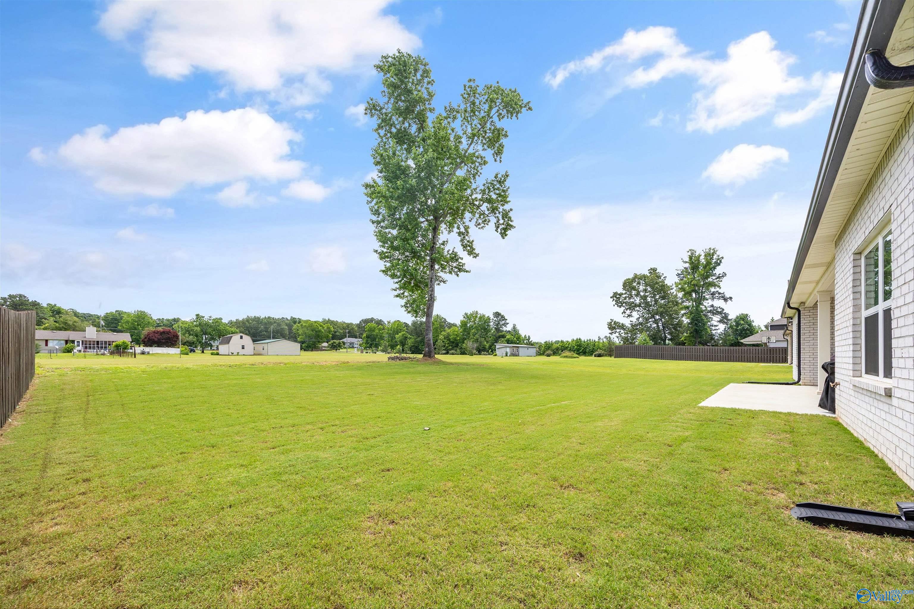 106 Timber Springs Court, Madison, Alabama image 35