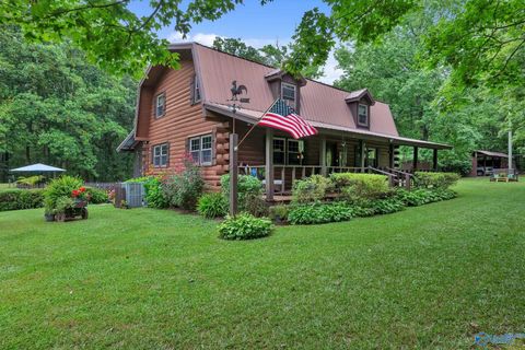 Homes For Sale - 684 Mardis Point Road<br/> Baileyton, AL 35019