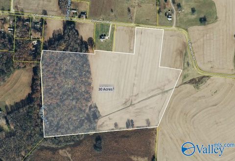 Vacant Land For Sale - 30ACRES Stevenson Road<br/> Ardmore, TN 38449
