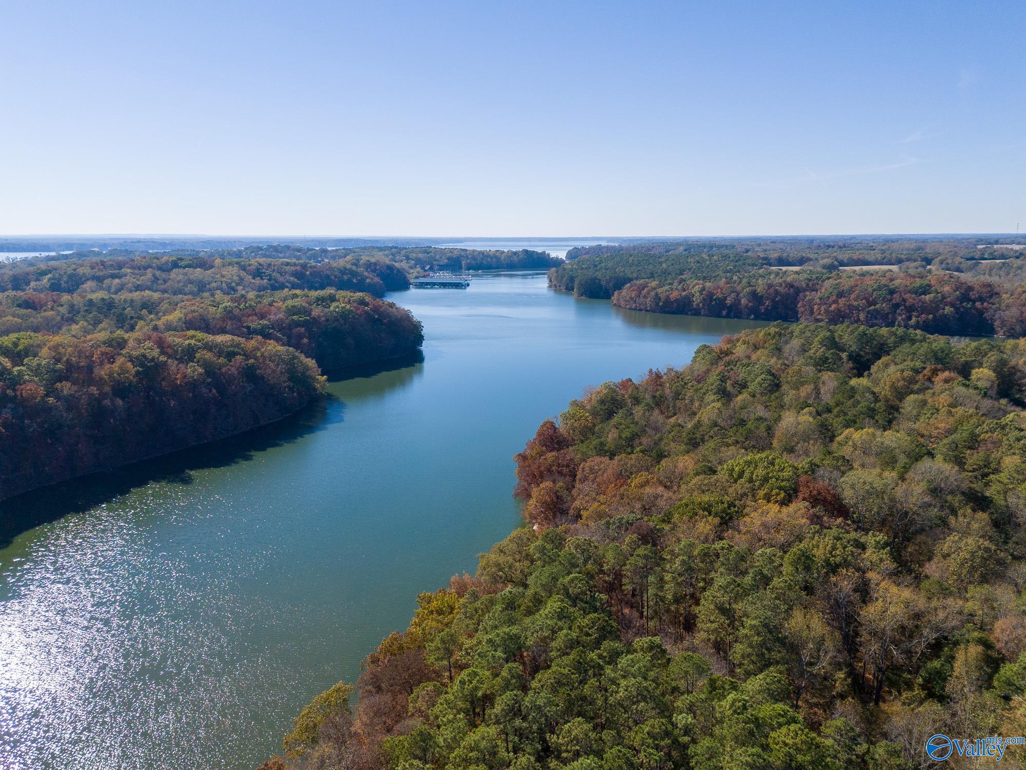 430 Wheeler Hills Road, Rogersville, Alabama image 8