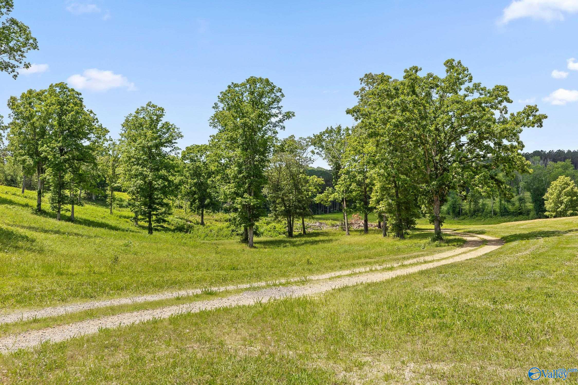 35123 Us Hwy 11, Valley Head, Alabama image 44