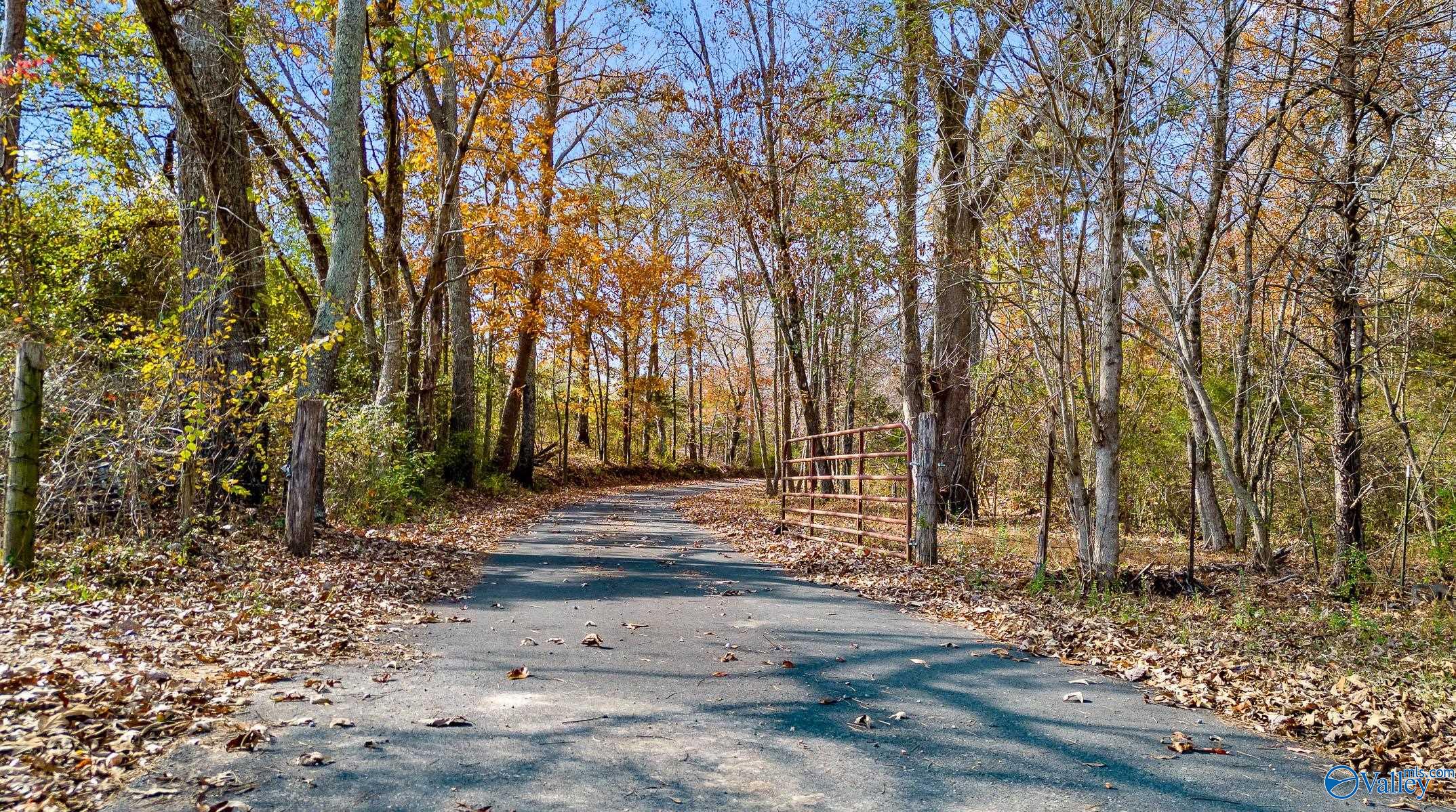 35123 Us Hwy 11, Valley Head, Alabama image 32