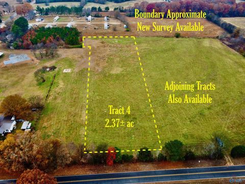 Vacant Land For Sale - TRACT 4 County Road 89<br/> Anderson, AL 35610