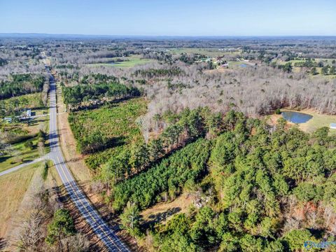 Vacant Land For Sale - 10184 Hwy 101<br/> Town Creek, AL 35672