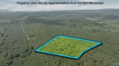 Vacant Land For Sale - 15 County Road 759<br/> Valley Head, AL 35989