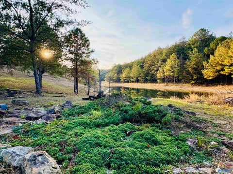 Homes For Sale - 505 Road 9002<br/> Mentone, AL 35984