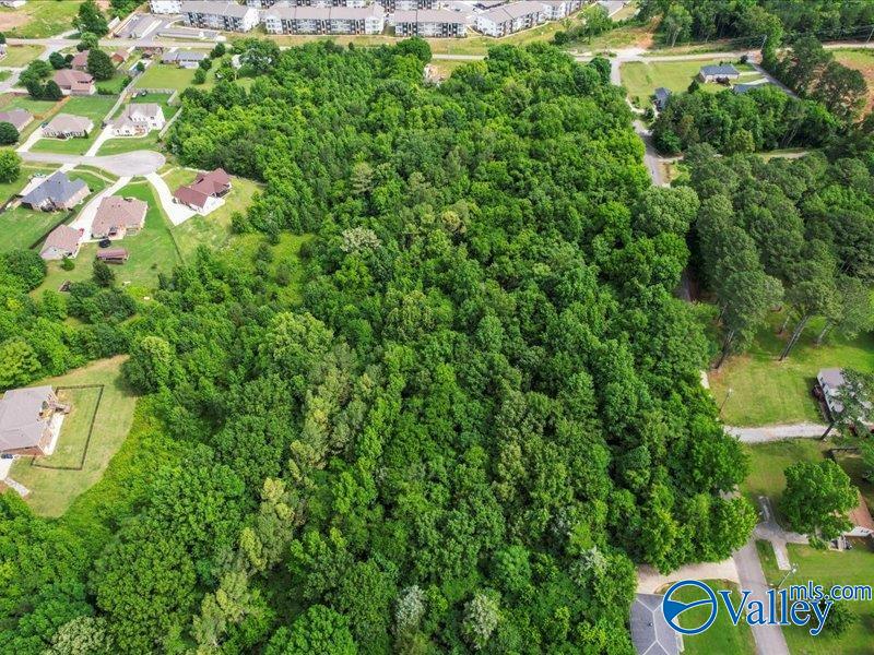 3.8 Acres Townsend Drive, Huntsville, Alabama image 4