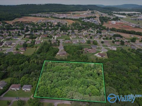 Vacant Land For Sale - 3.8 ACRES Townsend Drive<br/> Huntsville, AL 35811