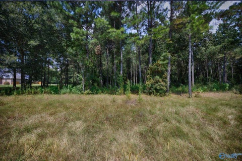 Vacant Land For Sale - 19239 Bick Jock Road<br/> Elkmont, AL 35620