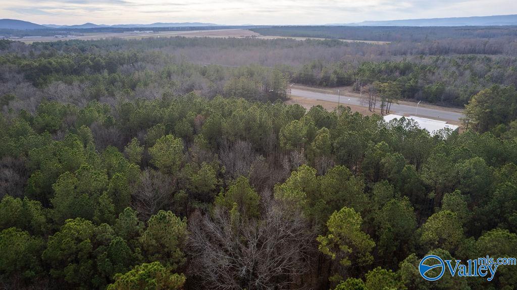 19 Acres Airport Road, Rainbow City, Alabama image 1