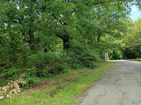 Vacant Land For Sale - LOT 103-106 Brooklyn Street<br/> Centre, AL 35960