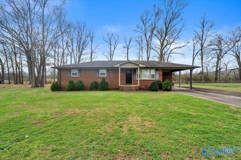 Photo of 253 Rose Drive, Scottsboro, AL 35768 (MLS # 21911833)