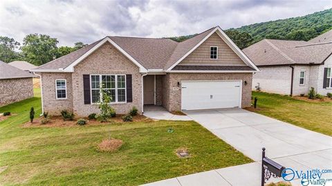 Homes For Sale - 3029 Crystal Creek Drive<br/> Brownsboro, AL 35741