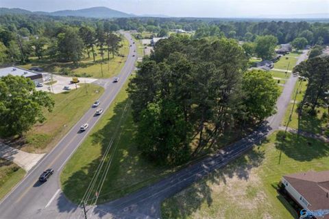 Vacant Land For Sale - 4012 (.75ACRE) Hwy 411<br/> Etowah County, Rainbow City, AL 35906