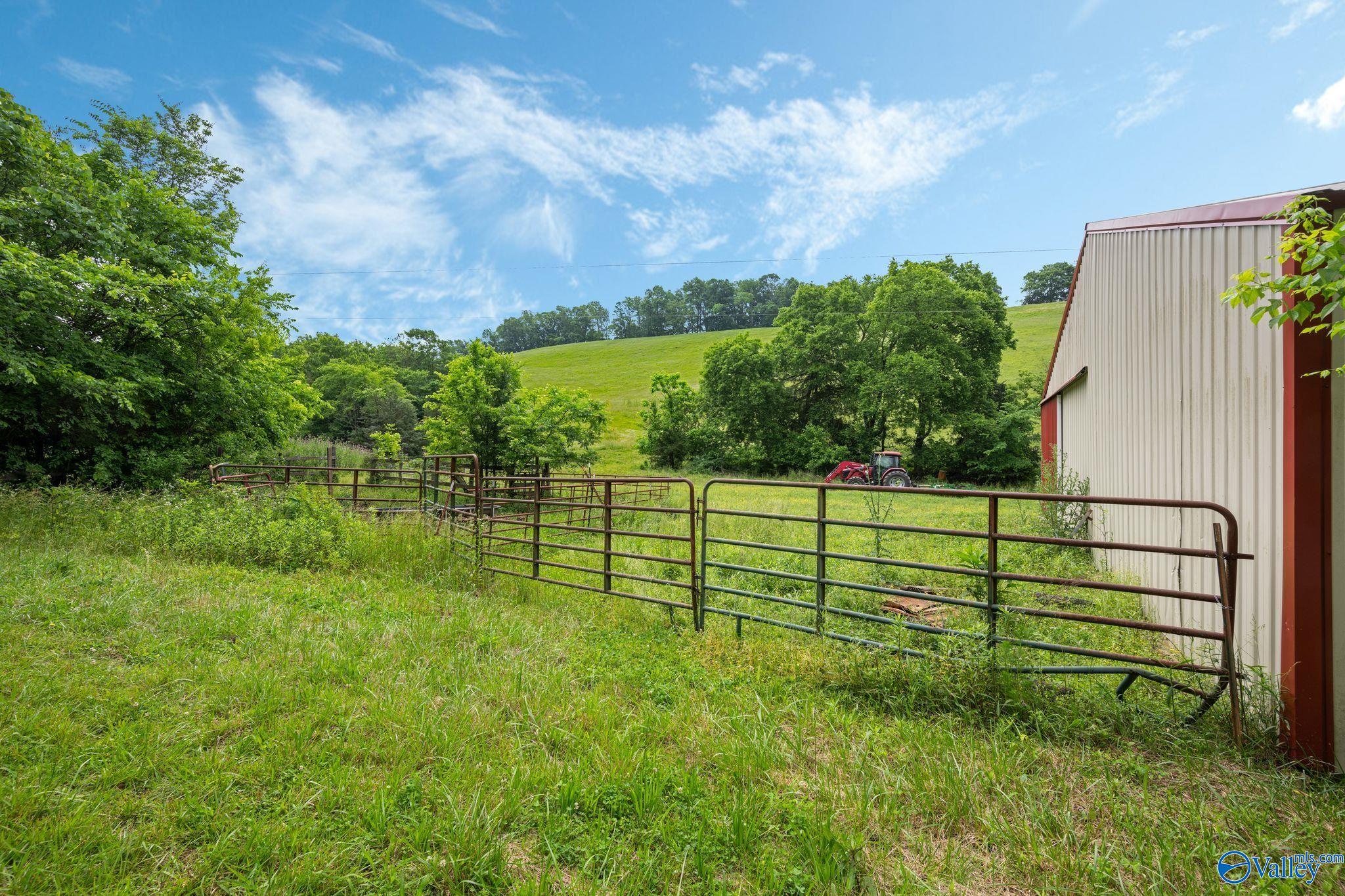 305 Ingram Road, Pulaski, Tennessee image 29