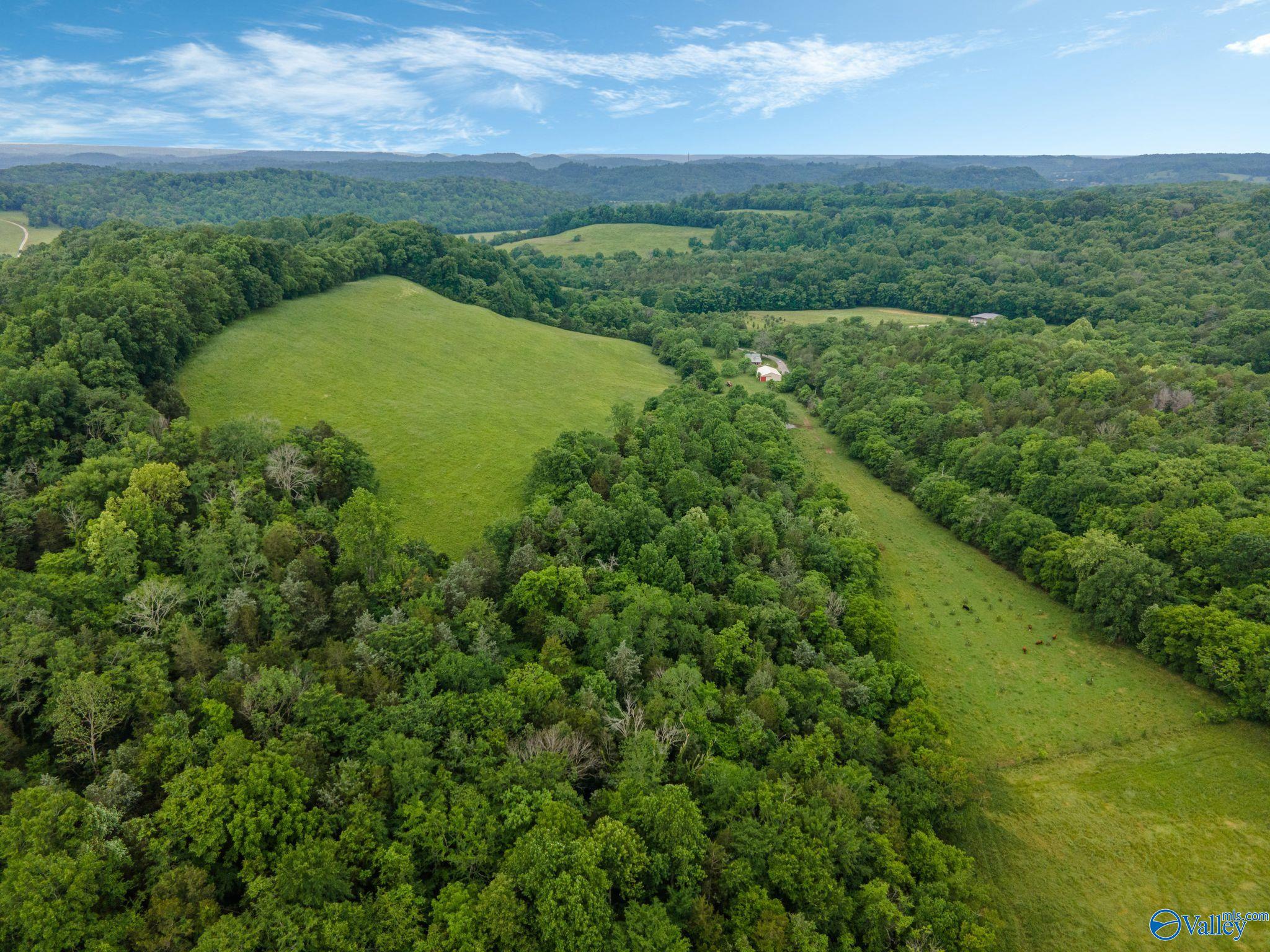 305 Ingram Road, Pulaski, Tennessee image 11