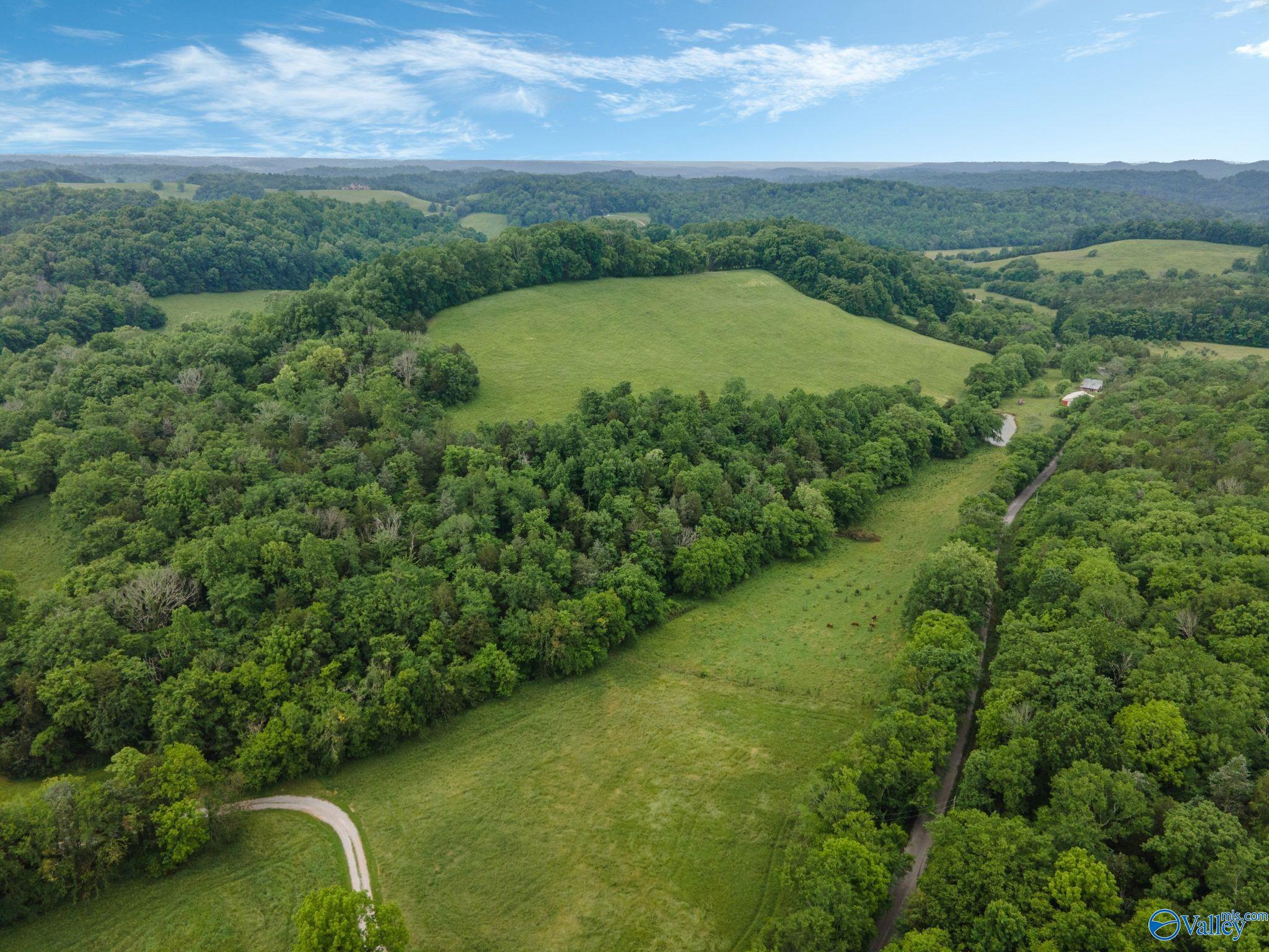 305 Ingram Road, Pulaski, Tennessee image 12