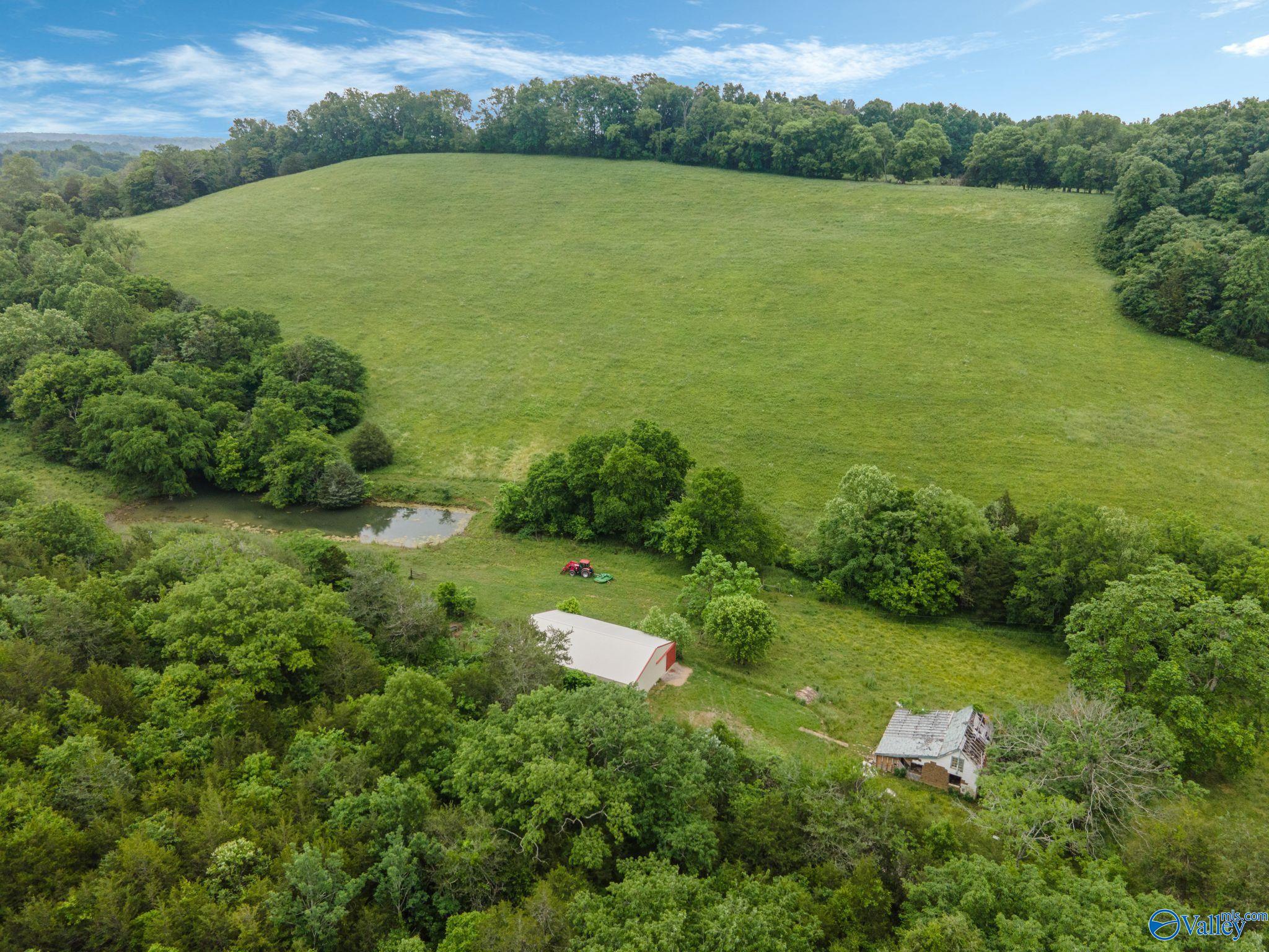 305 Ingram Road, Pulaski, Tennessee image 16