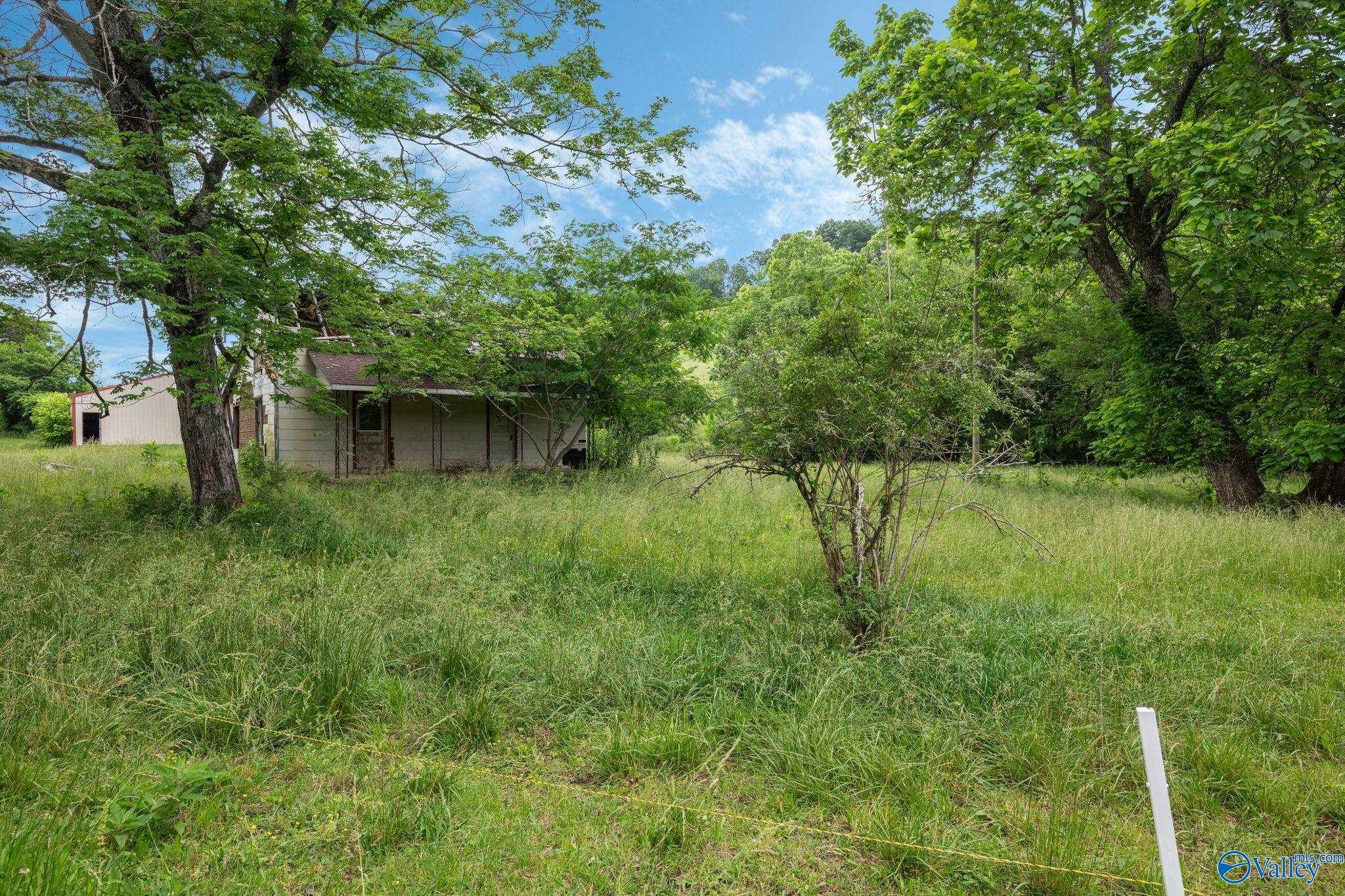 305 Ingram Road, Pulaski, Tennessee image 38