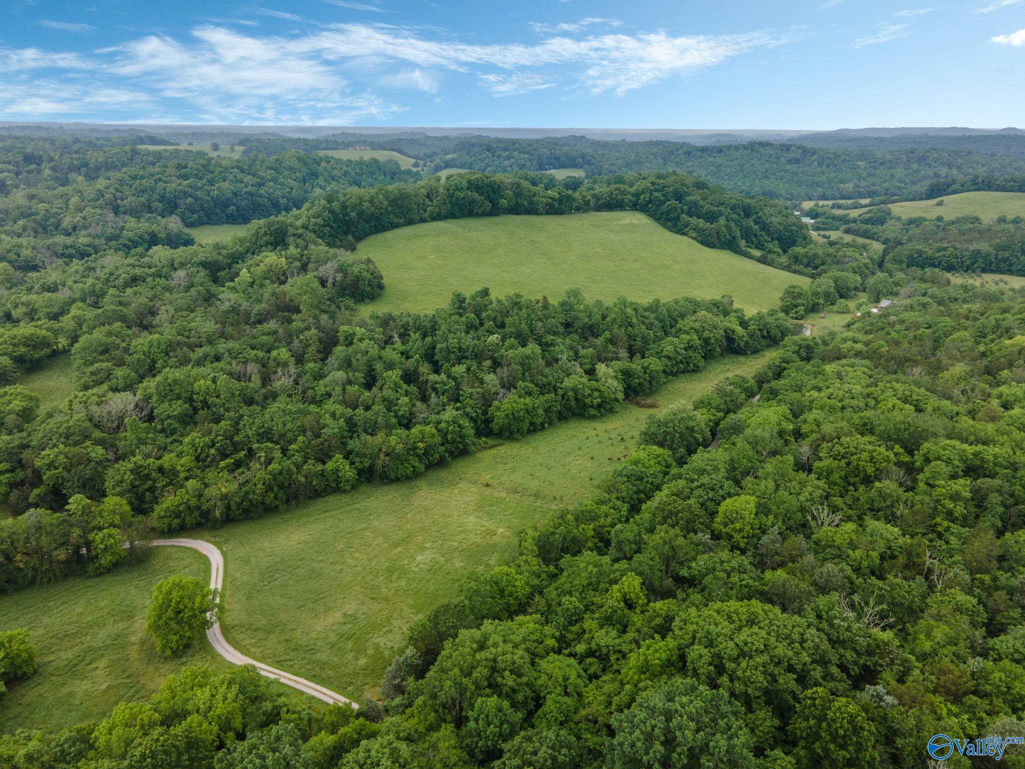 305 Ingram Road, Pulaski, Tennessee image 13