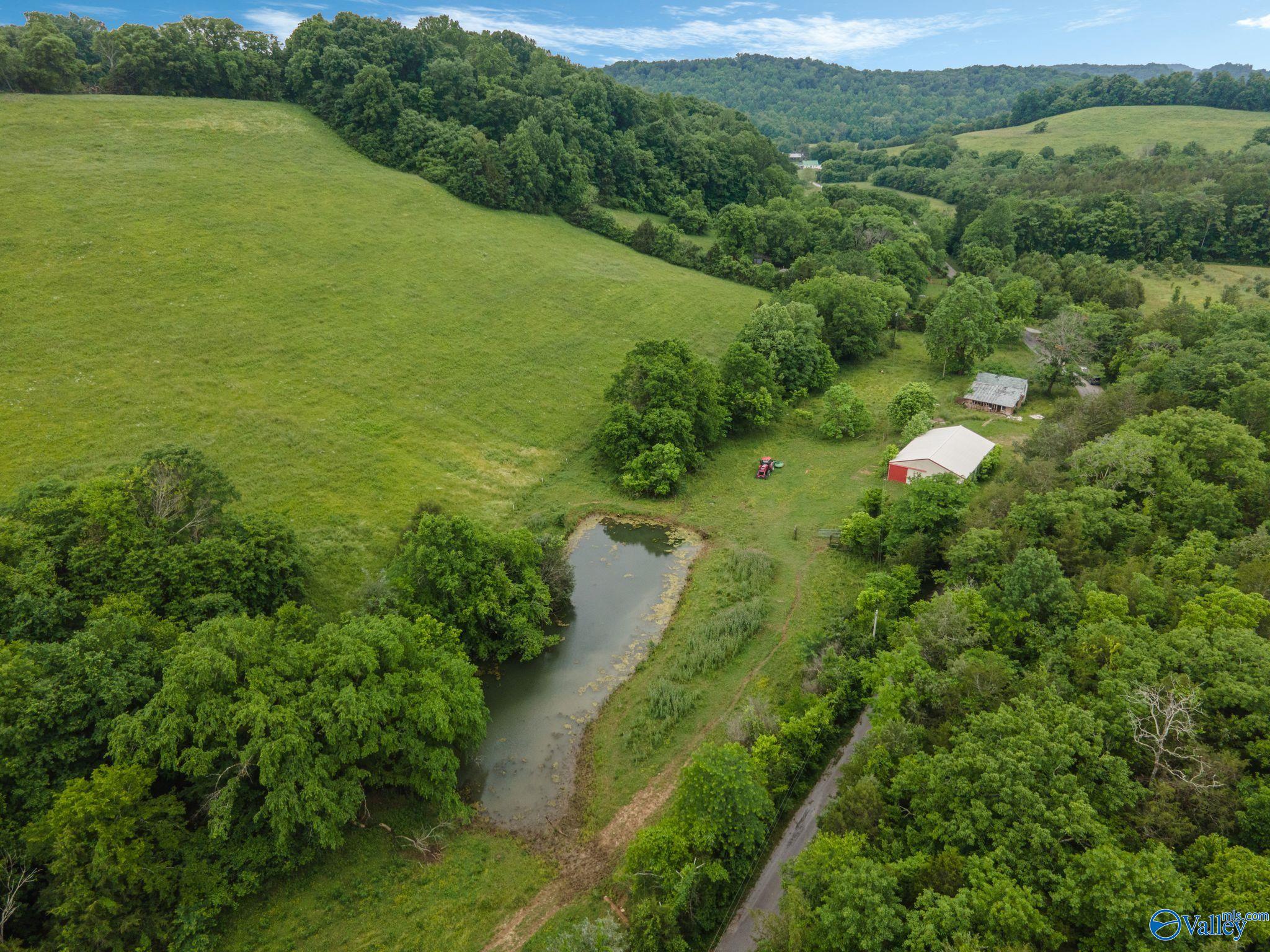305 Ingram Road, Pulaski, Tennessee image 14