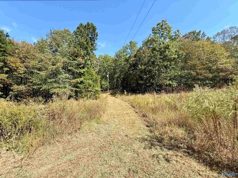 Vacant Land For Sale - 400 County Road 915<br/> Leesburg, AL 35983