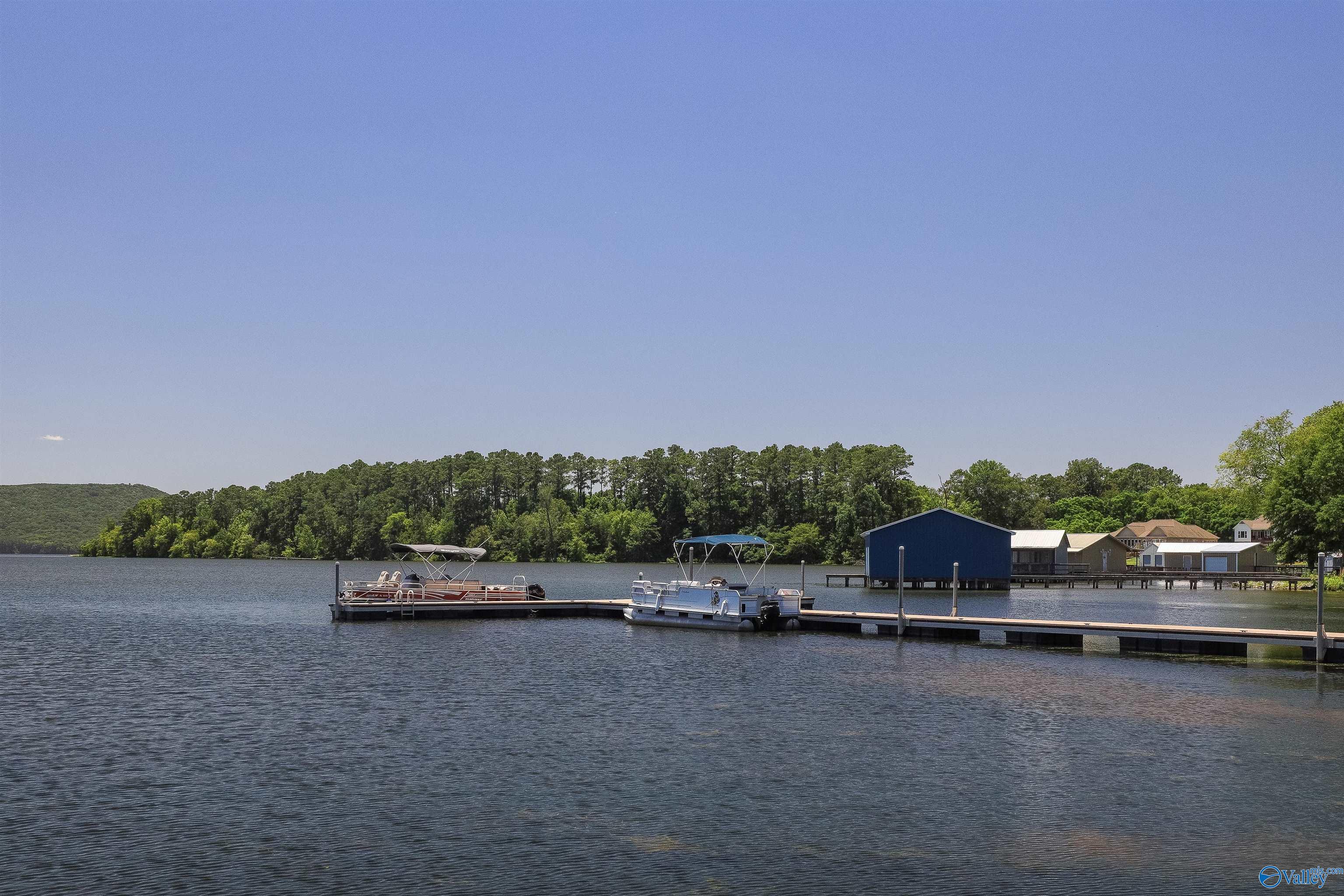 10174 County Road 67 #LOT 66, Langston, Alabama image 9
