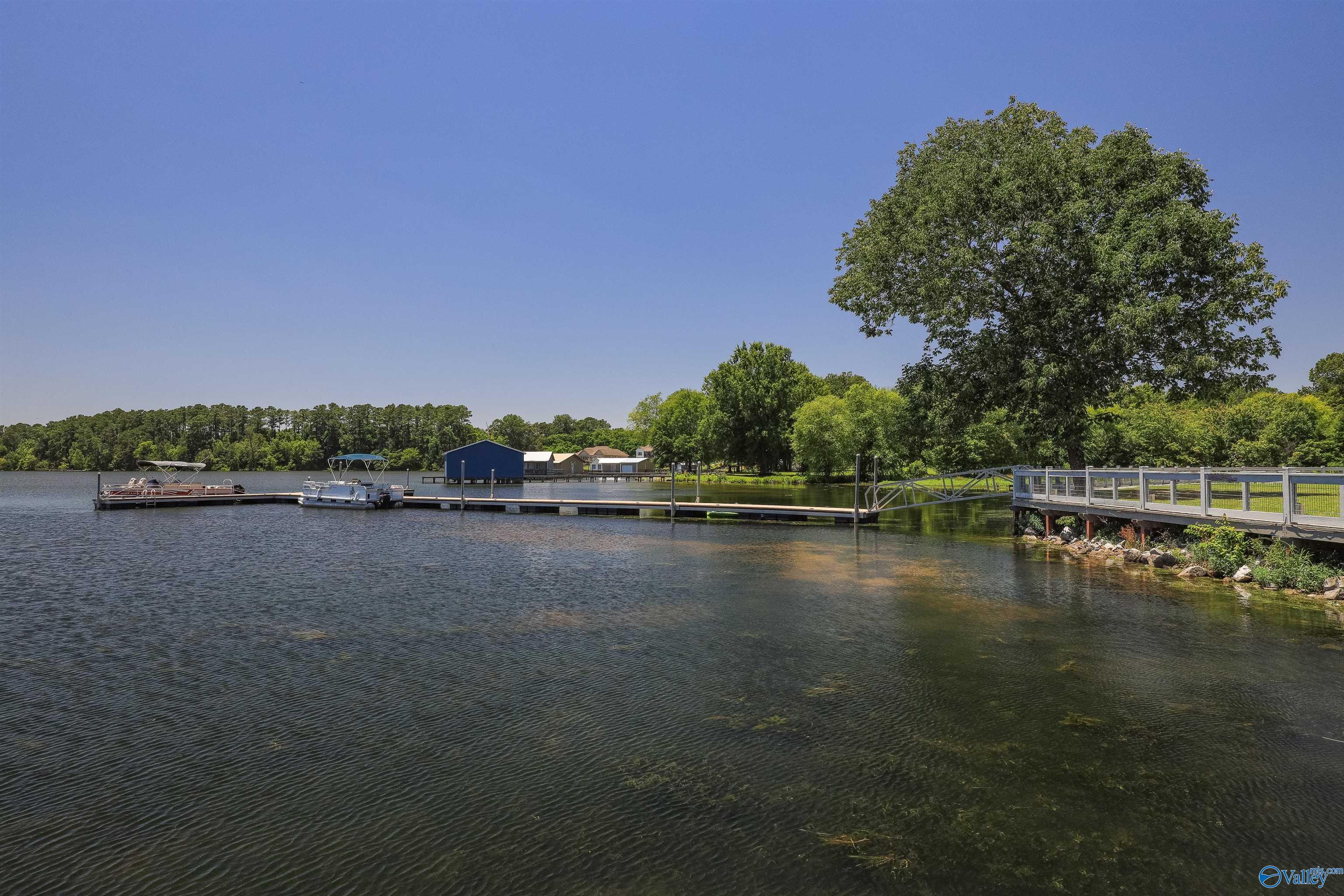 10174 County Road 67 #LOT 66, Langston, Alabama image 10