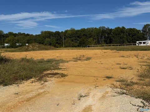 Vacant Land For Sale - 12051 New Cut Road<br/> Athens, AL 35611