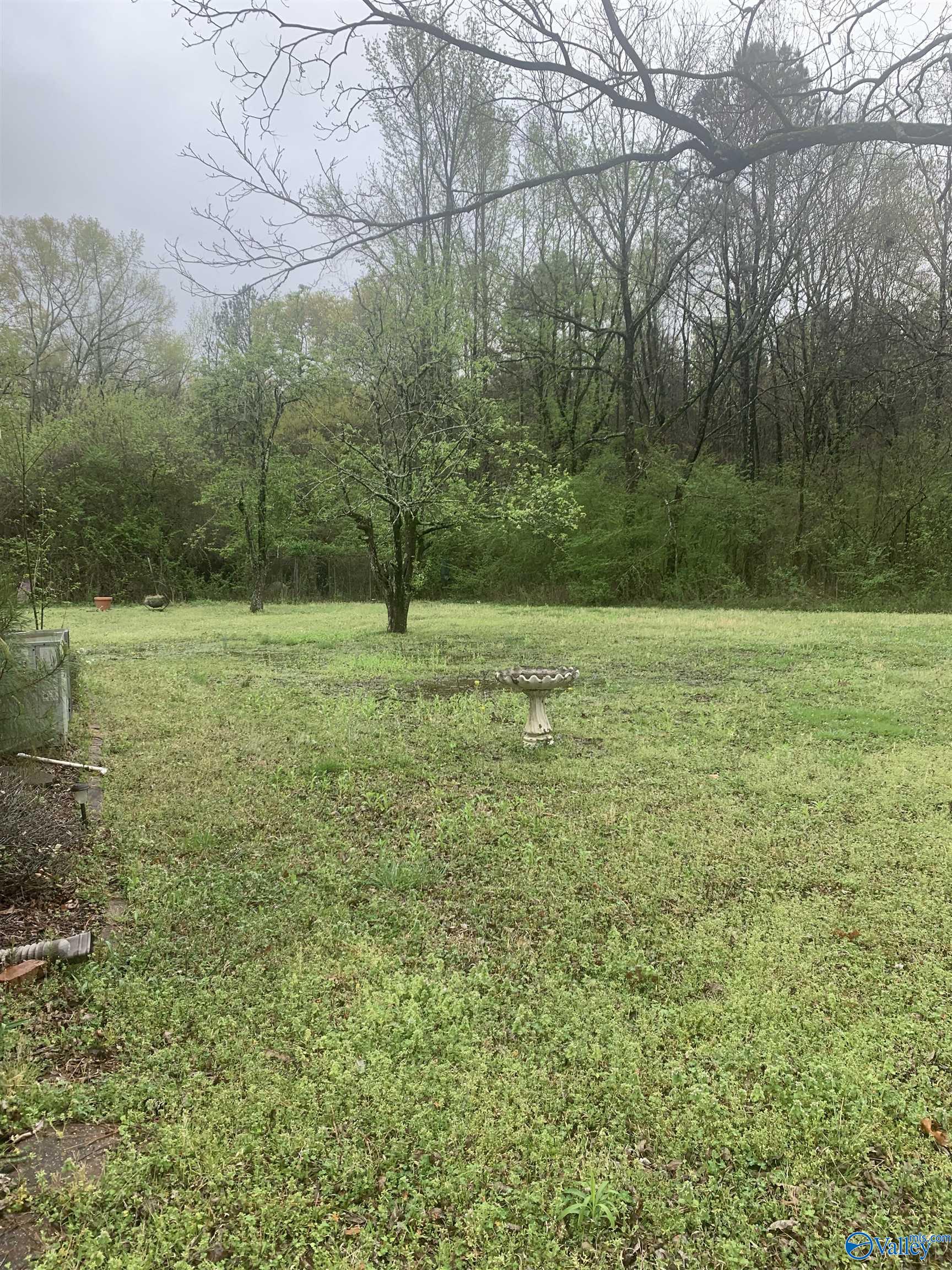 3824 Old Moulton Road, Decatur, Alabama image 11