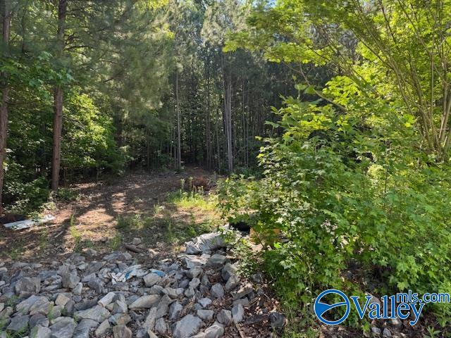 2510 Scottsboro Hwy 79 Hwy, Guntersville, Alabama image 11