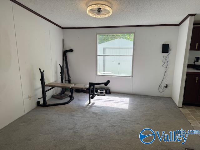 2510 Scottsboro Hwy 79 Hwy, Guntersville, Alabama image 19