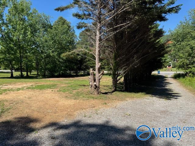 2510 Scottsboro Hwy 79 Hwy, Guntersville, Alabama image 10