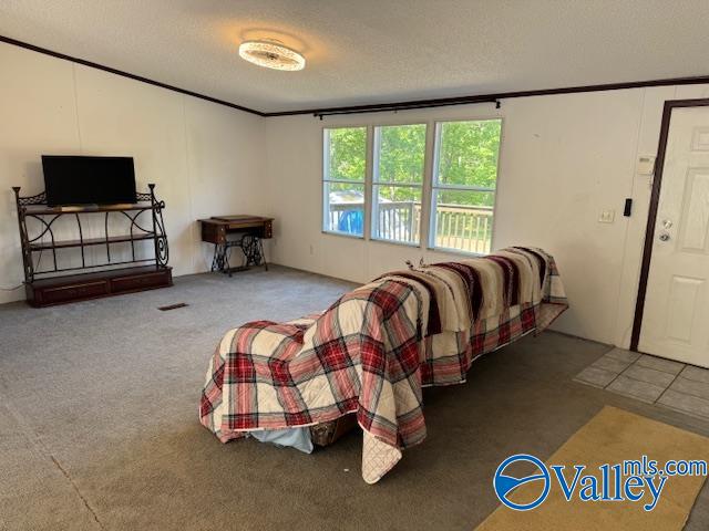 2510 Scottsboro Hwy 79 Hwy, Guntersville, Alabama image 12