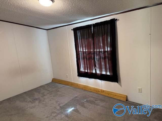 2510 Scottsboro Hwy 79 Hwy, Guntersville, Alabama image 26