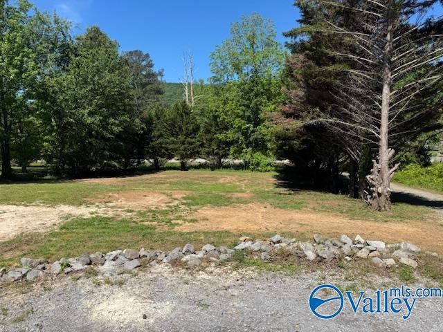 2510 Scottsboro Hwy 79 Hwy, Guntersville, Alabama image 9