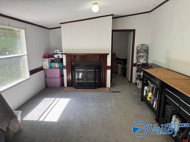 2510 Scottsboro Hwy 79 Hwy, Guntersville, Alabama image 18