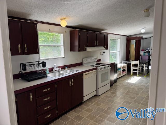 2510 Scottsboro Hwy 79 Hwy, Guntersville, Alabama image 15