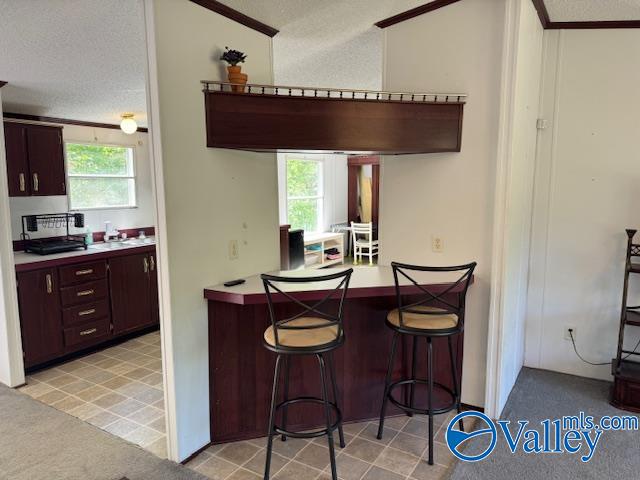 2510 Scottsboro Hwy 79 Hwy, Guntersville, Alabama image 17