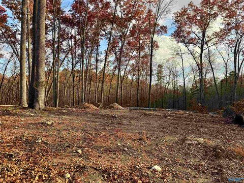 Vacant Land For Sale - 1 County Road 137<br/> Cedar Bluff, AL 35959