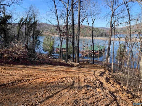 Vacant Land For Sale - LOT 22 Snug Harbor Road<br/> Grant, AL 35747