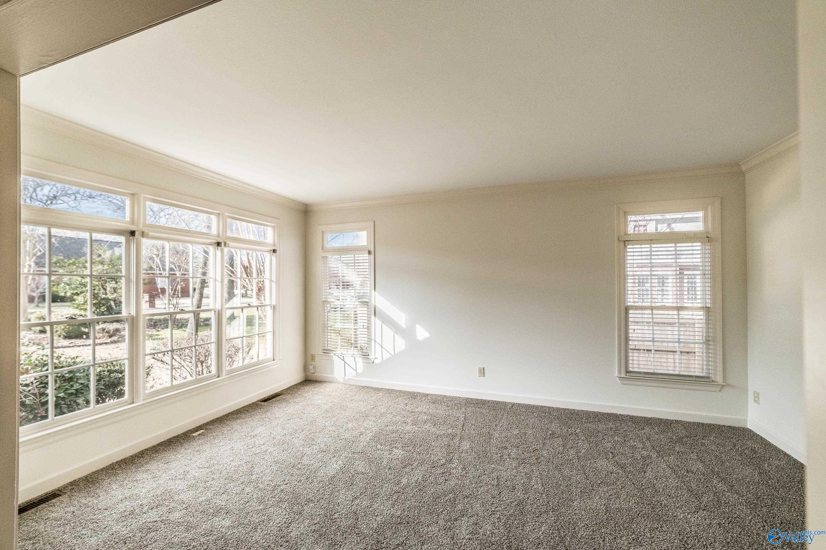 14003 Randamere Drive, Huntsville, Alabama image 15