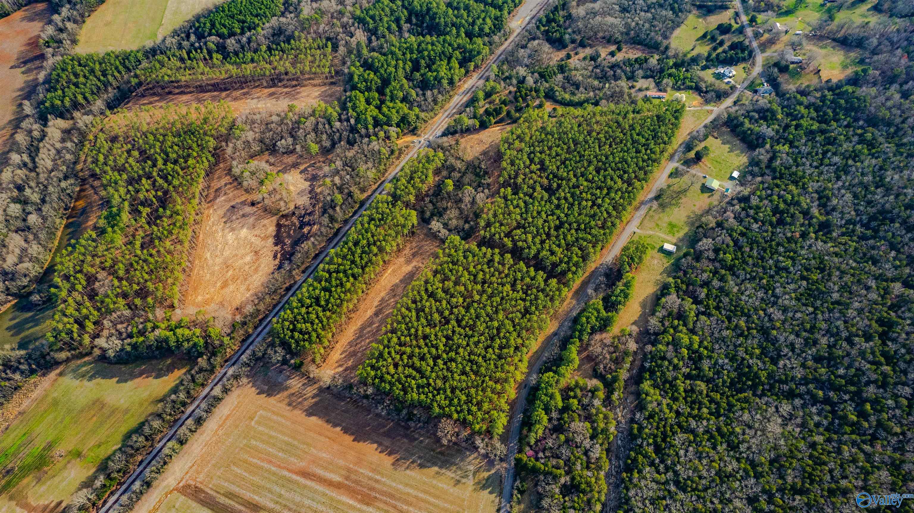 2073 County Road 42, Hollywood, Alabama image 8