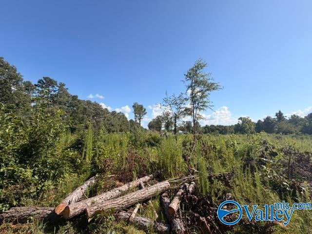 7495 County Road 113