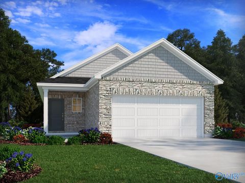 8203 Huspa Avenue Madison AL 35756