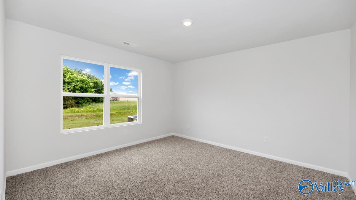 130 Ivy Park Circle, Albertville, Alabama image 21