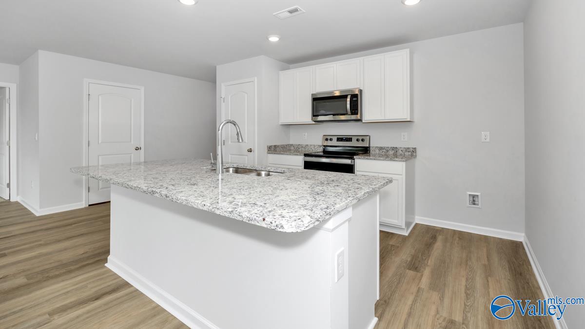 130 Ivy Park Circle, Albertville, Alabama image 3