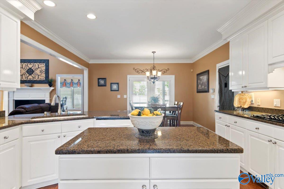 213 Collier Drive, Albertville, Alabama image 17