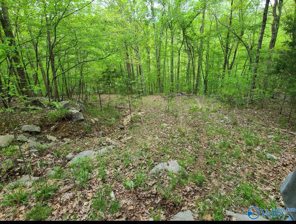 45AC Shooting Star Trail, Gurley, Alabama image 1