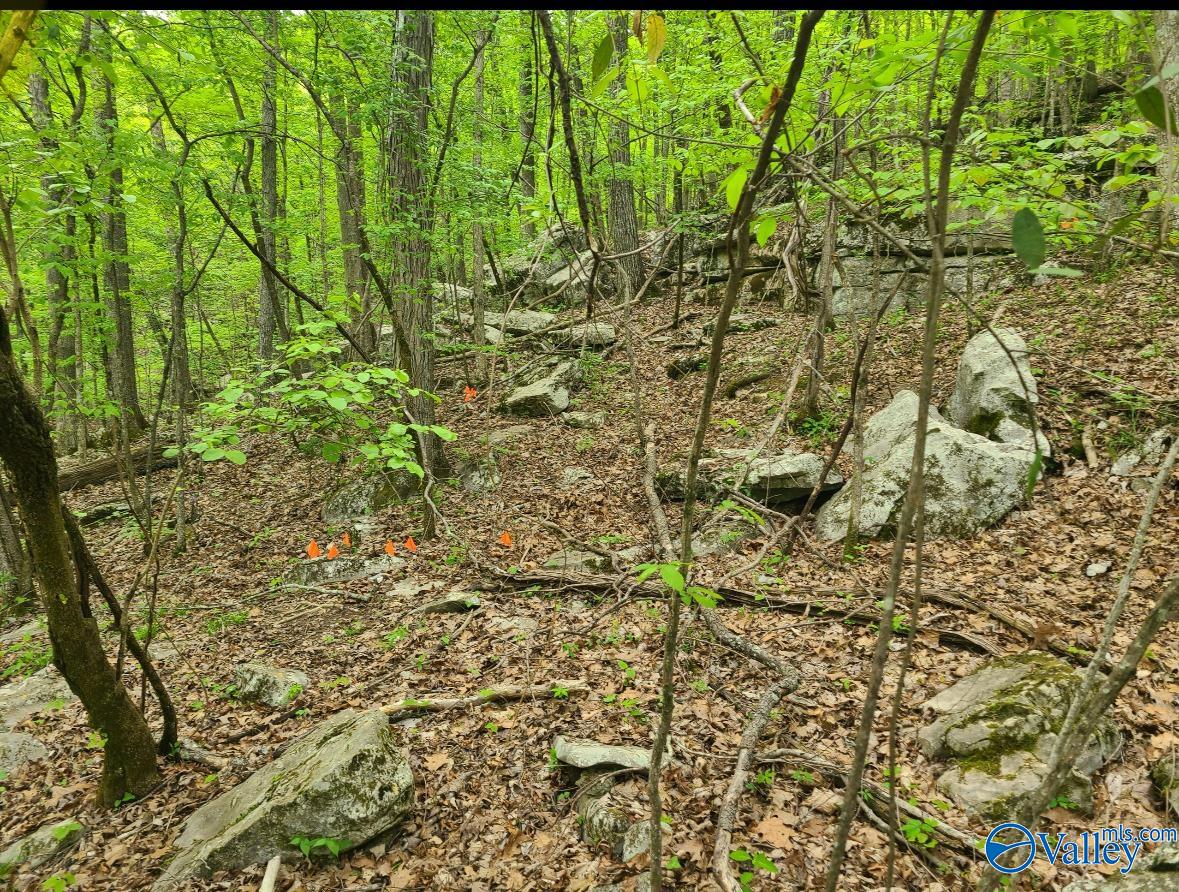 45AC Shooting Star Trail, Gurley, Alabama image 2
